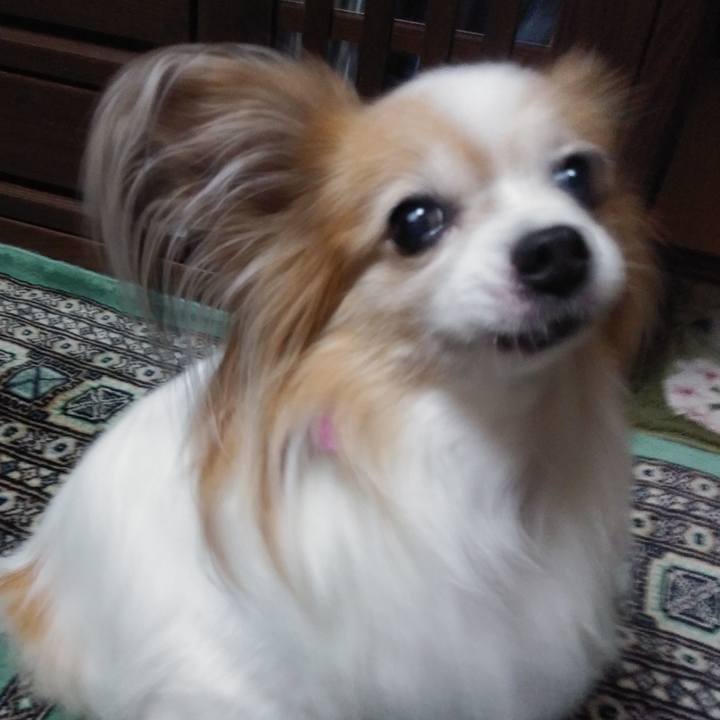 Fb1584c2 c872 4f26 bf07 0753301911ec 1561029754842