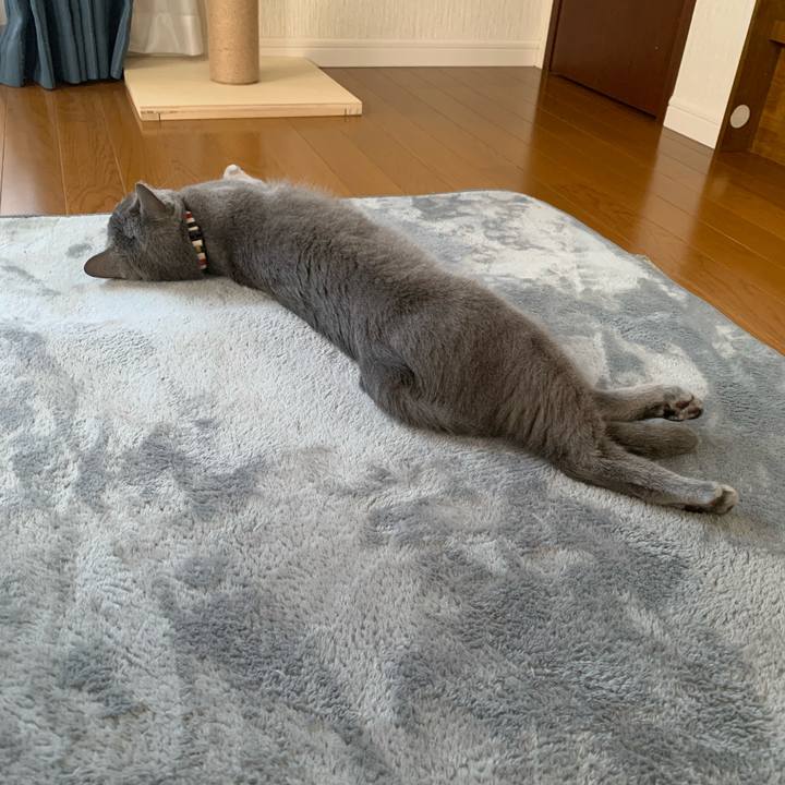 Fb15b6fa bd66 4e10 a837 82d0dd21e9ba 1617165841132