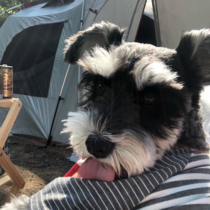 Fb15c831 daa0 4723 9ba7 d61a784cb4a6 1653196256118