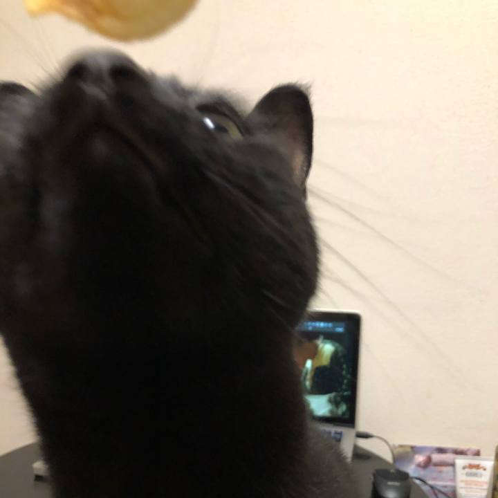 Fb15c879 c764 43d6 8b25 d9c49253c3d0 1599137216429