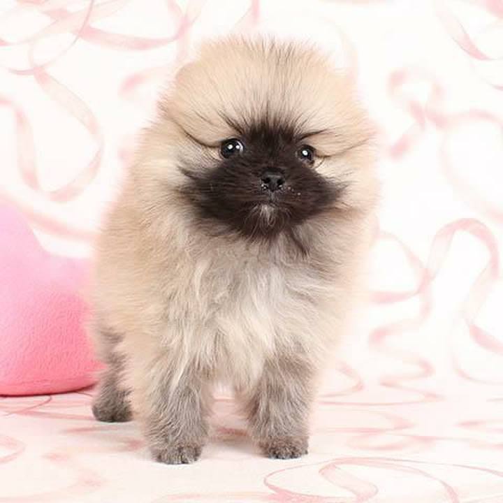 Fb15d215 55ef 46fe be5a c7c26cd951f6 1610368847232