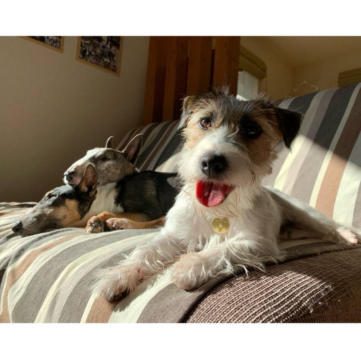 Fb15d56f f67e 4126 bf82 d4e7968bbebf 1606533355392