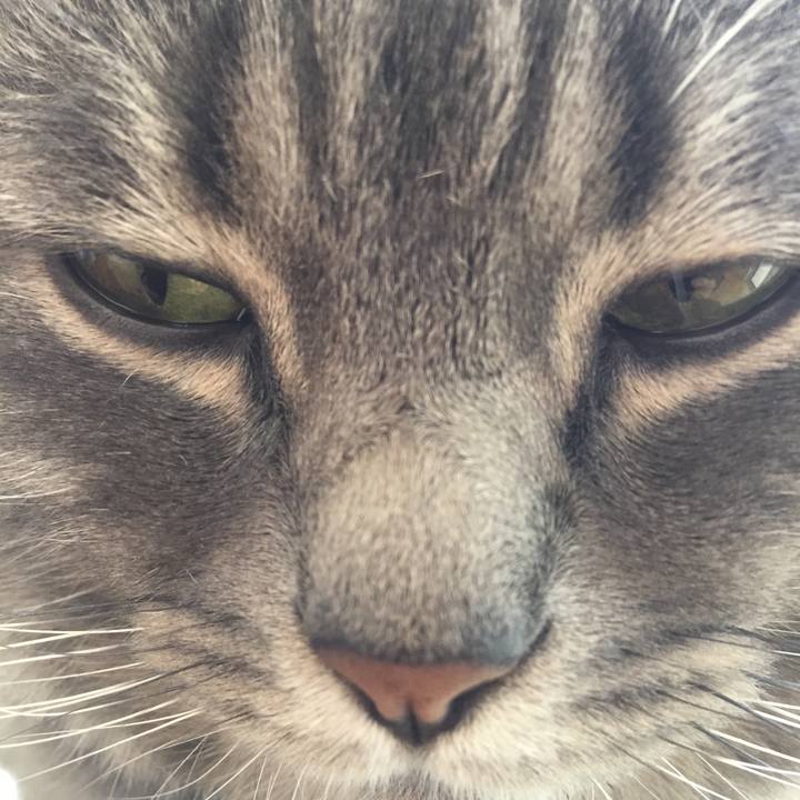 Fb15db80 4eab 4a4d 80cf 5ded9d5cfc2a 1556317138031