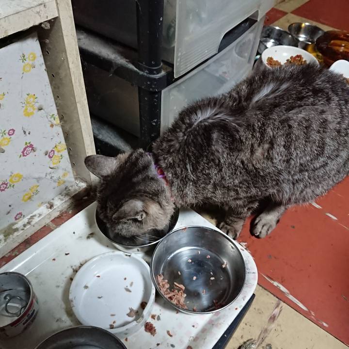 Fb15ec49 2d5c 43c1 b086 36c0fc7ebb8e 1596053215724