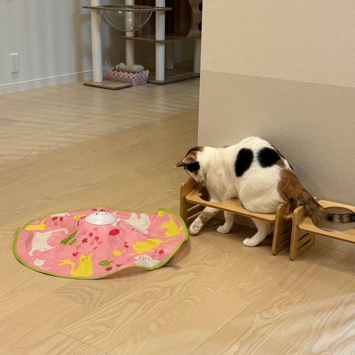 Fb15f5f9 cedb 43ca 9ab0 99f07a275aa0 1775657871081