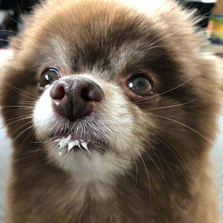 Fb163bb7 1fe5 4280 b5d7 4a14cfaa7589 1551929979459