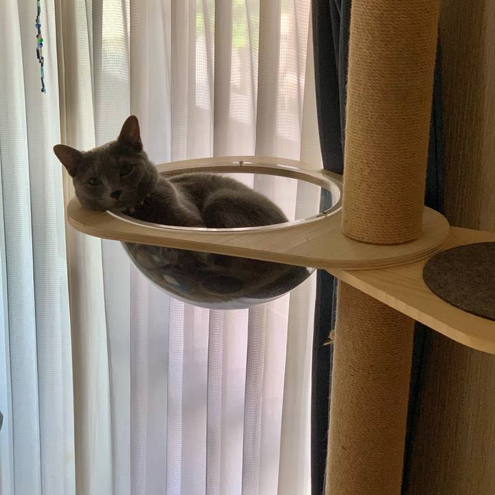 Fb1651e0 9637 4a3b bbc4 e13e5c9bc3dc 1623375403635