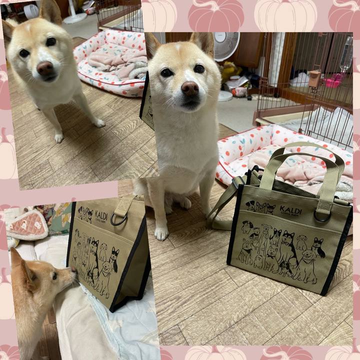 Fb16b9b7 1fd1 4a33 b268 613e8b5d4e35 1699087632283