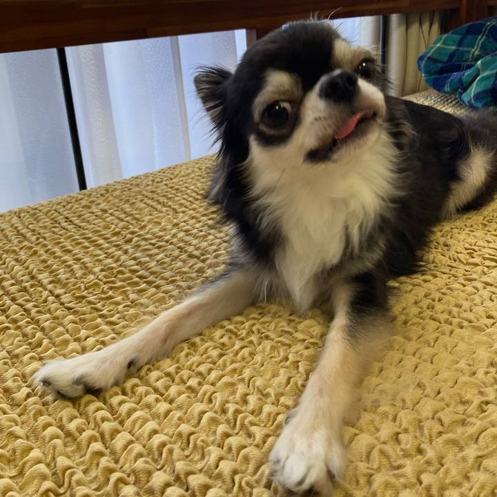 Fb16ba7d 29a5 40ee 9e34 33c7c859ec96 1660316582703