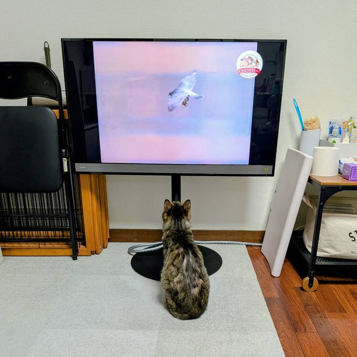 Fb16e037 dc39 4317 89a0 68a465e78412 1747159011994