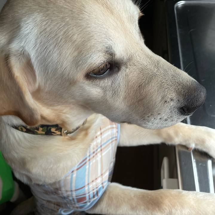 Fb1723ab 5175 40bd a308 31813e951115 1621036821808