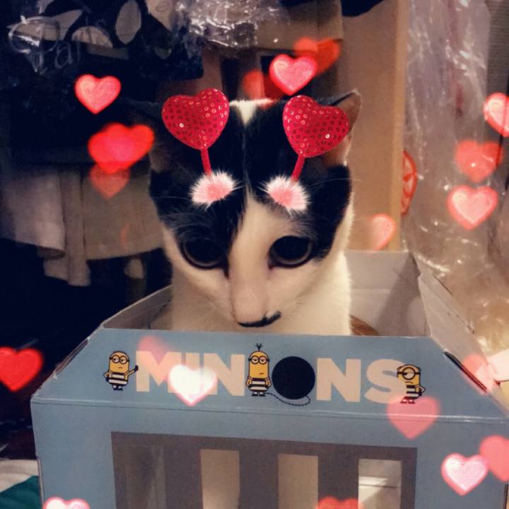 Fb1743ea 5862 4d05 a998 b240b365b499 1559580043730