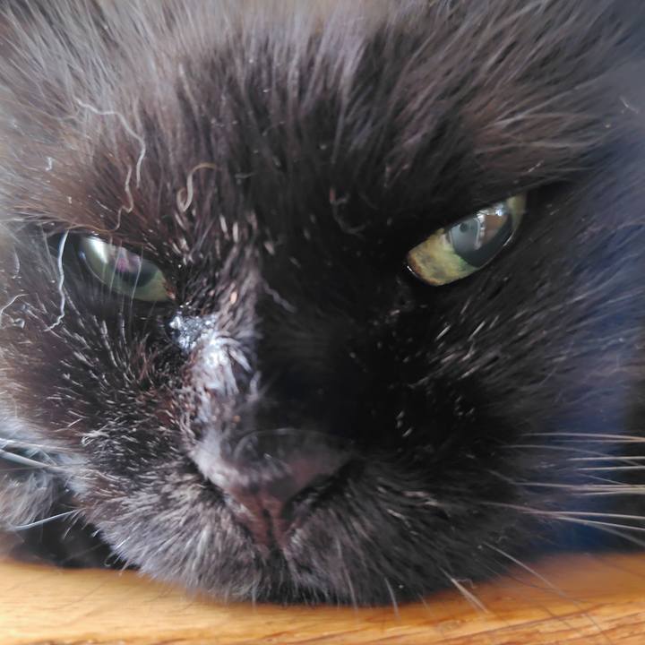 Fb175673 5619 4c2f 9d05 9605b0e29175 1723852433660