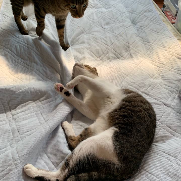 Fb176224 e9e8 441f 8a5f 2e5a468e1d31 1562202333430