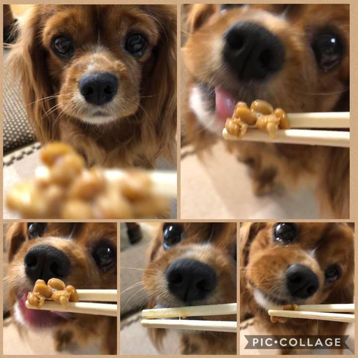 Fb176e54 9cb5 4815 9aac 9e2046df5f94 1591438061363