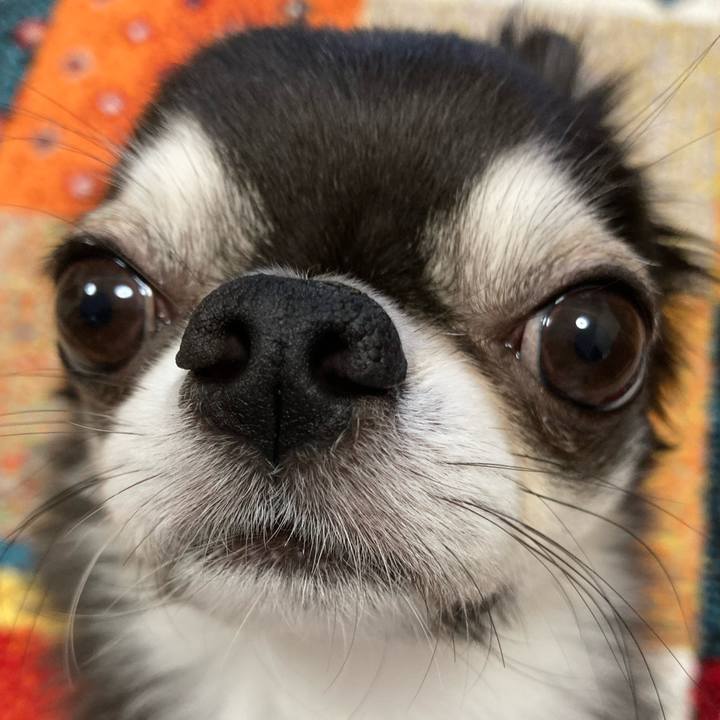 Fb1788a0 0c27 4b55 914a 76e409b4e7c2 1699049926755