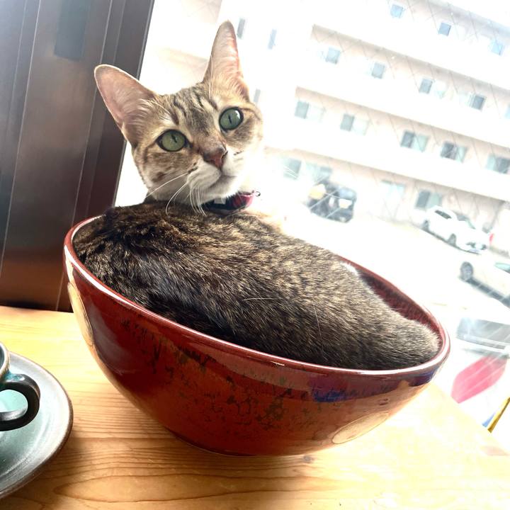 Fb178d3f 96b8 4134 b1b0 b48c8843ac1a 1748405742019