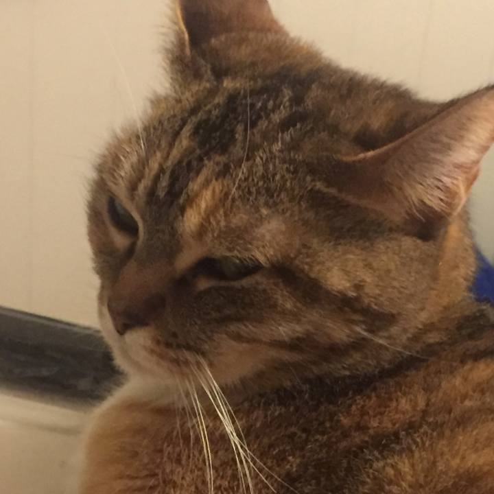 Fb18112c 86ea 4f62 93c3 0e0c02da980e 1550330501835