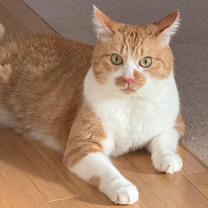 Fb184a6d f44a 4b9f 9d3e a29abb49d7fe 1768184033477