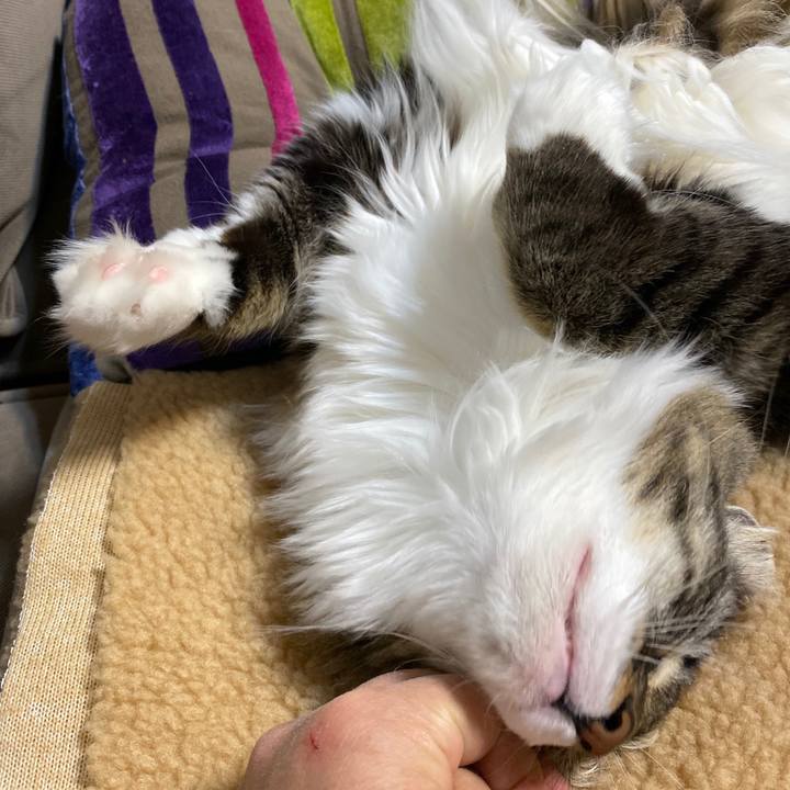 Fb184b43 eea9 44ce a4c4 280d4a9640af 1580165723186