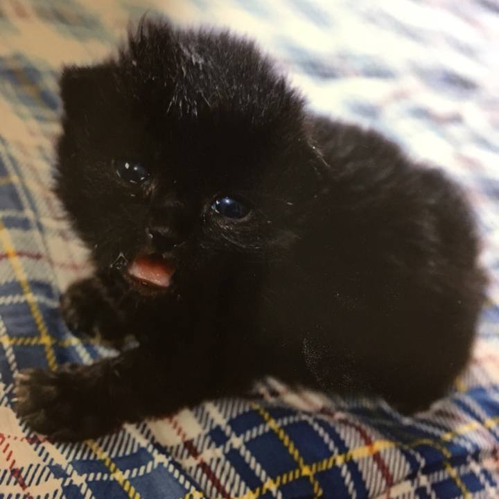 Fb187367 f66b 4449 85cd e1ef068bbff8 1514533260972