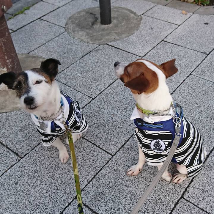 Fb1878d9 d346 4c8a 8051 0fe7f524bda3 1552170526963