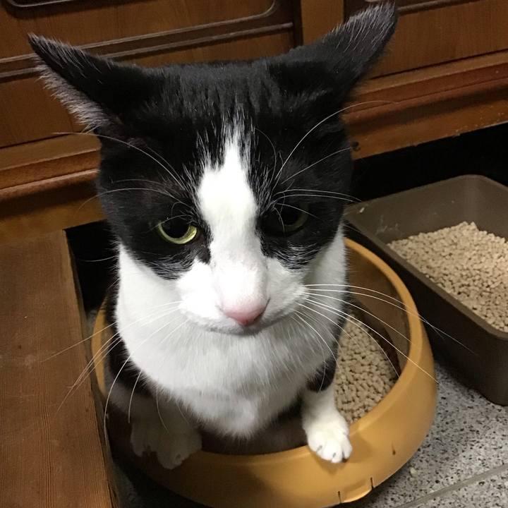 Fb188116 a6db 4790 9dbd 67a93acadd0e 1735464300674