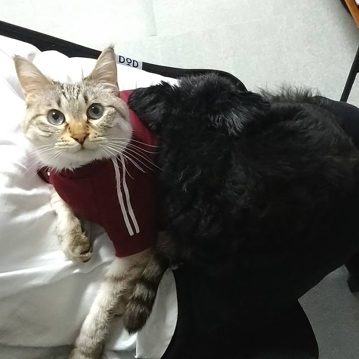 Fb188ce8 4084 49ad 882c 249742a82e8e 1682510340959