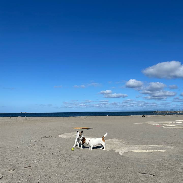 Fb18912d 7cc0 4394 85ca 331812413693 1687130561991