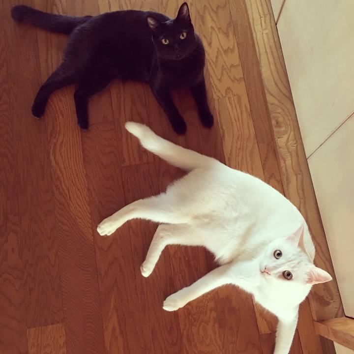 Fb189f1c d3ff 4d99 8e60 5682fc4cd968 1535668115230