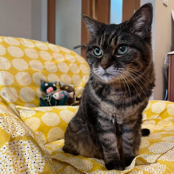 Fb18a416 678f 4122 960c 02d23d96f0d5 1767785452901