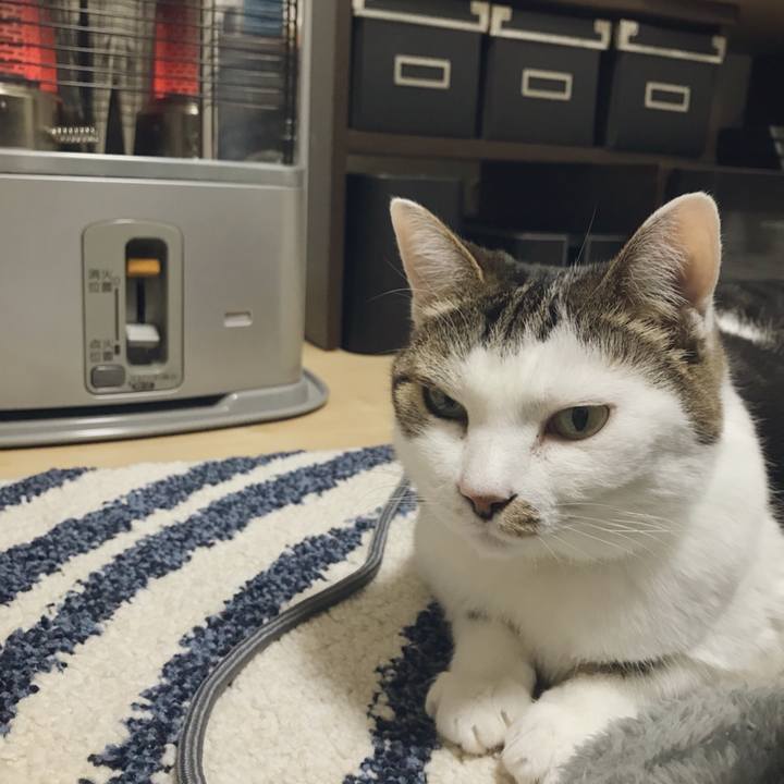 Fb18e4fa 391f 43a6 b967 ad8285994e04 1515729609236