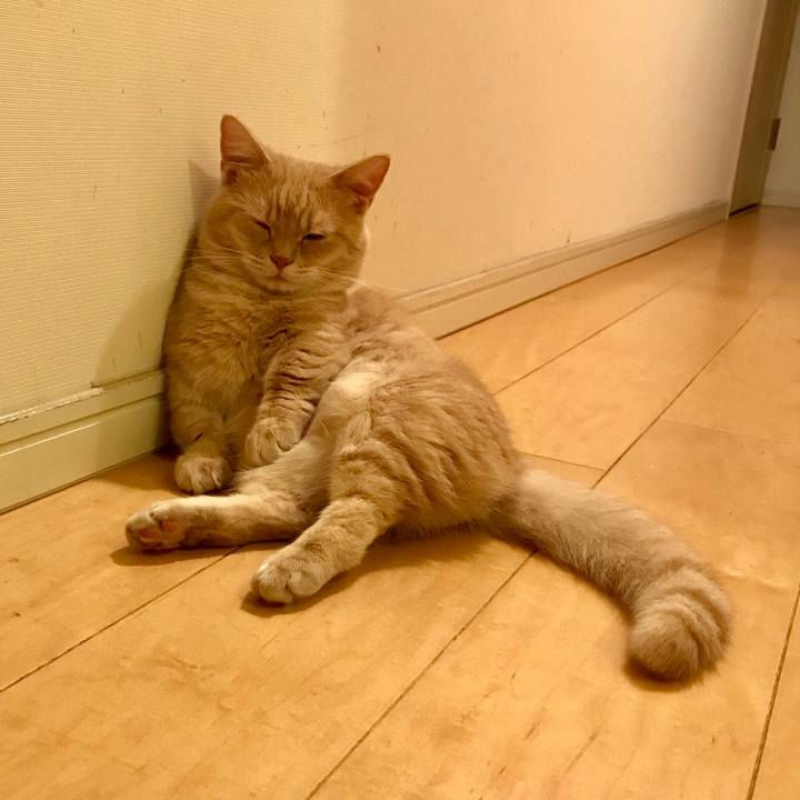 Fb18f0bc 473d 401b 82db 654da9b37dc8 1538693935556