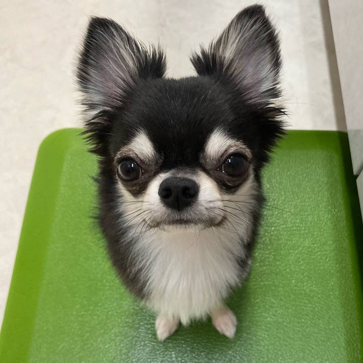 Fb1910cc 7d5b 4c15 882d e15eaa1561a2 1627688416063