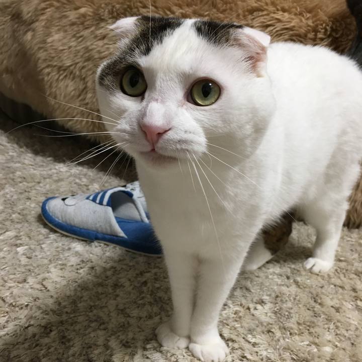 Fb1960b1 de64 47e0 aafb c9145546181b 1521722697653