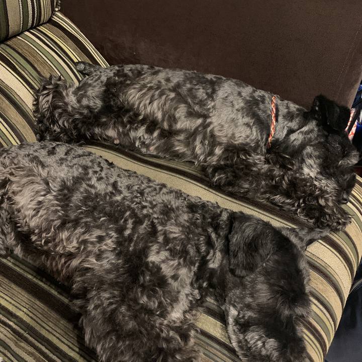 Fb19a673 2a9d 490f b061 2b7976812c48 1592316552652