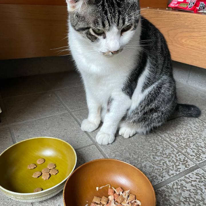 Fb19a9b5 7339 416e 8590 ff1256dee9b3 1631010002140