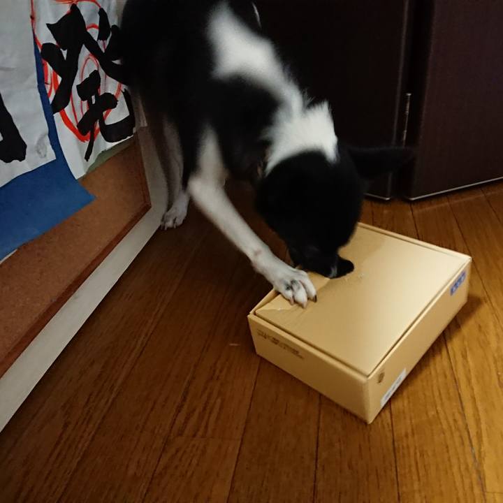 Fb19abb9 91b8 4f23 9a20 9b80a495e85f 1513500674222