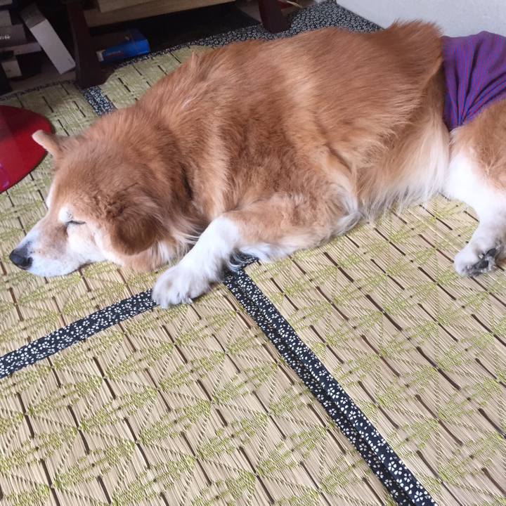 Fb19d2b9 c6a0 47b7 a9a2 8ce044f07348 1512116912242