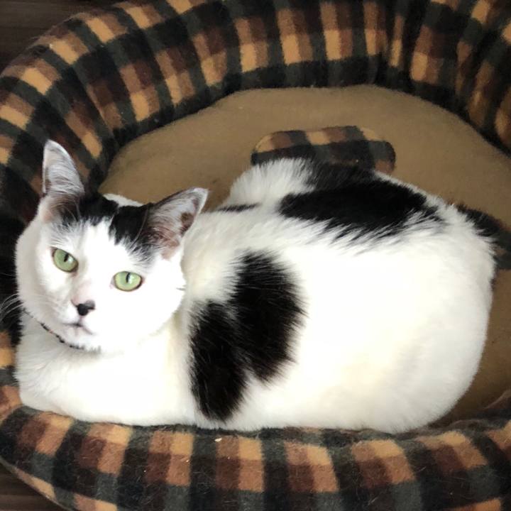 Fb1a5ebf 8e5a 4aab a178 b31a004f698d 1522279100712