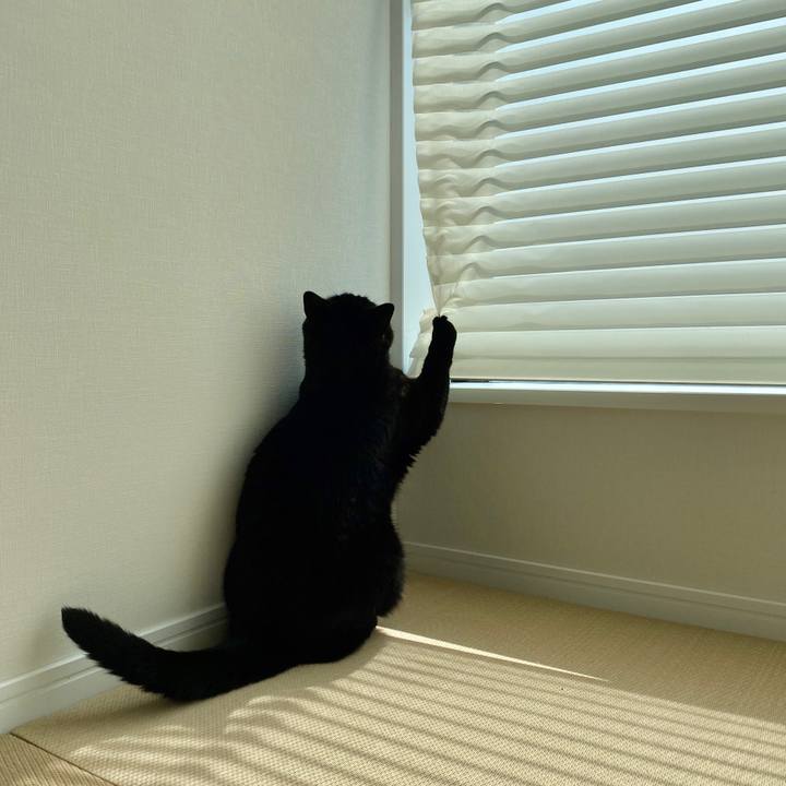 Fb1a7ac4 bf90 437c a272 51a364133b57 1600052219977