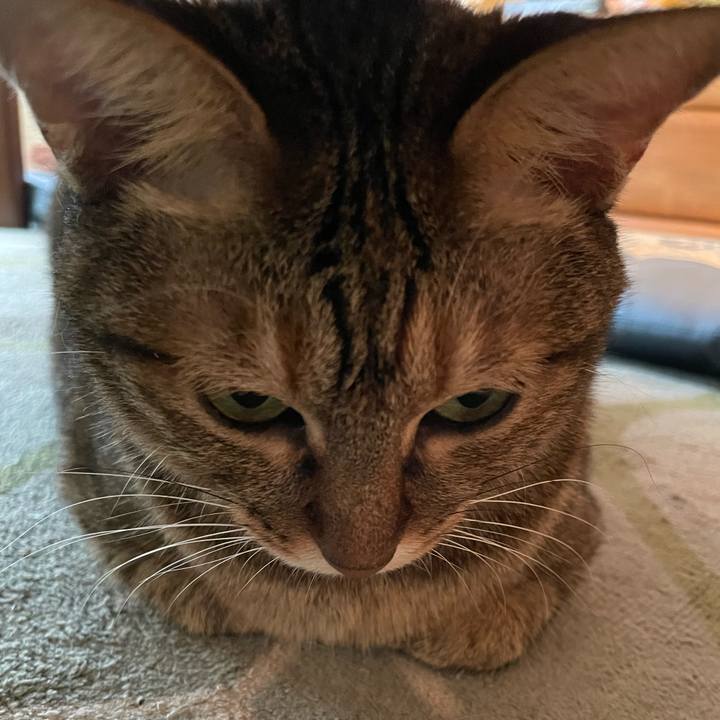 Fb1a88e3 edc6 41c5 95f0 d23412a5d3f7 1663919756254