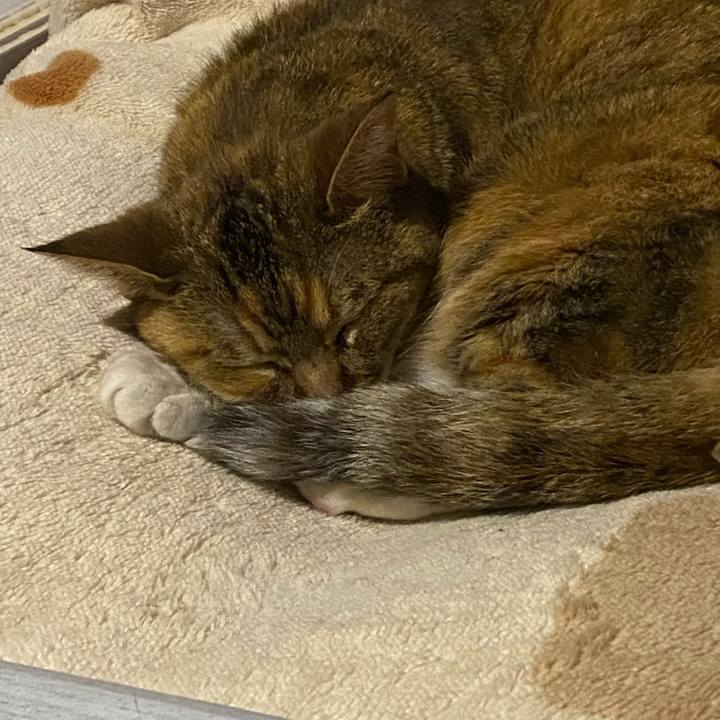 Fb1aaf7b 5a83 4a25 96ba 965f008911df 1686380132070