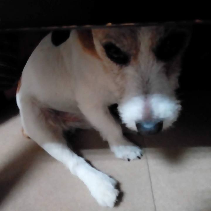 Fb1ac5ac a4b2 46ad b2f6 cb22a294651c 1568540706099