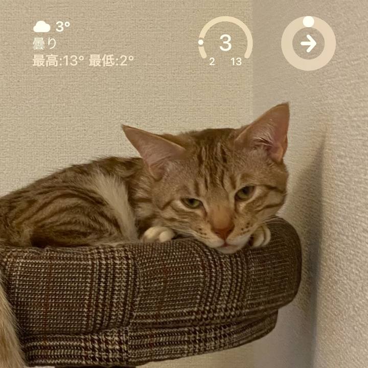 Fb1afb2f 081e 4172 be11 bff4052796c7 1677108943971