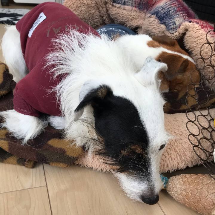 Fb1b0d01 9fe2 4b28 8a69 102bd3b856ec 1540684206065