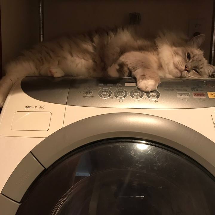 Fb1b16c1 435a 4413 b12c ca407e16506c 1543444845801