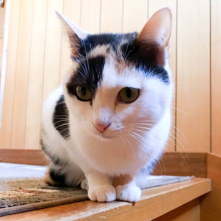 Fb1b4bc2 2f92 4d24 ab6c 3ef7fbd6d042 1513643118039