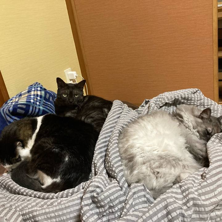 Fb1bb89b b536 457a 94b5 22c99039823c 1707435829713