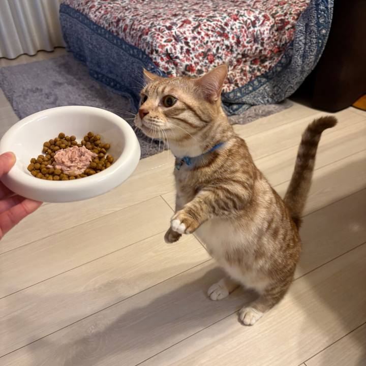 Fb1bbd5d 2646 46d8 a0b8 e9a70cc9804f 1736069005545